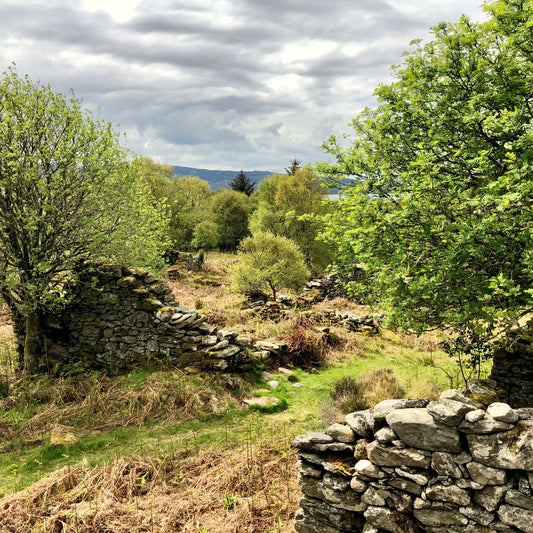 Hidden gems on Argyll's Secret Coast