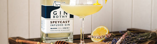 Meet the Maker Gin Bothy
