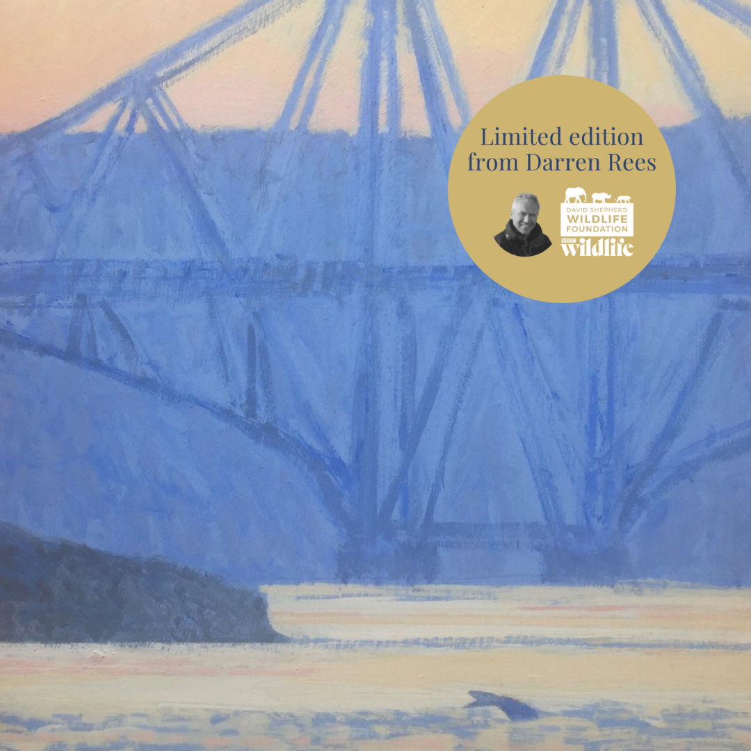 A painting featuring the Forth Bridge by Darren Rees