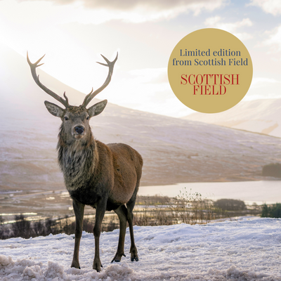 A photograph of a stag in a snow-covered area from Scottish Field