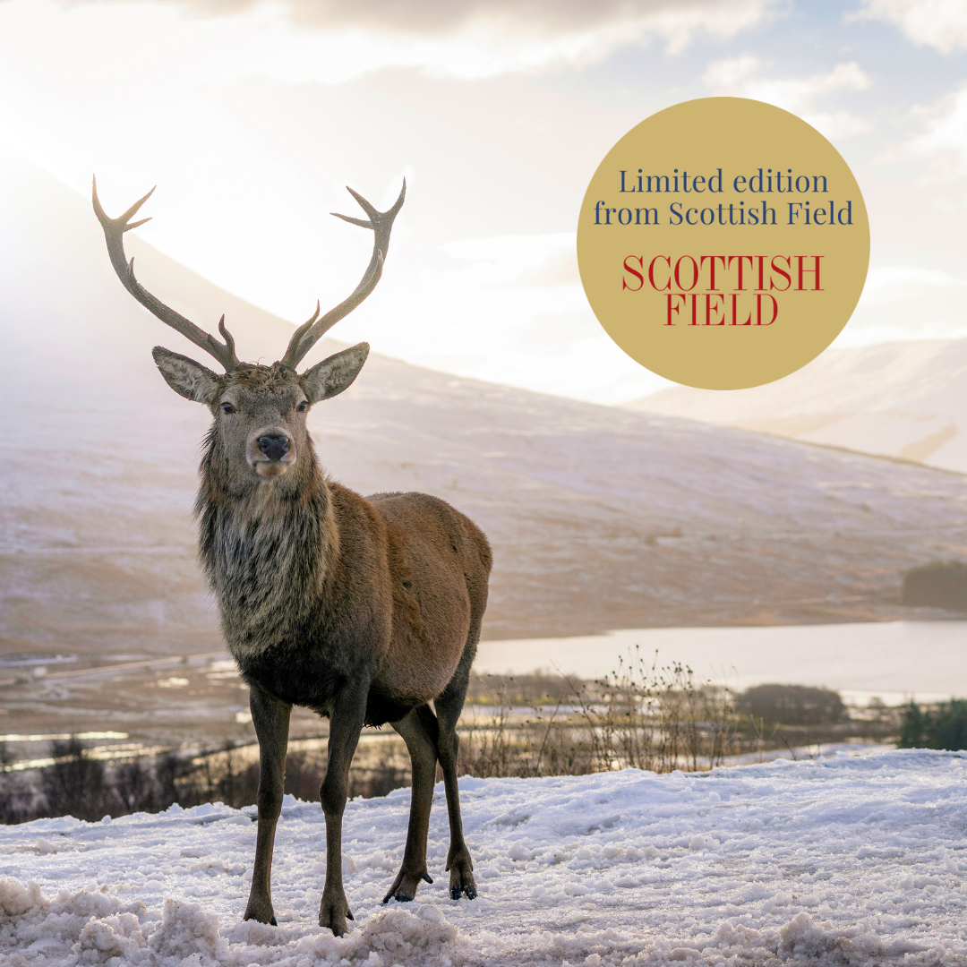 Select your greetings card